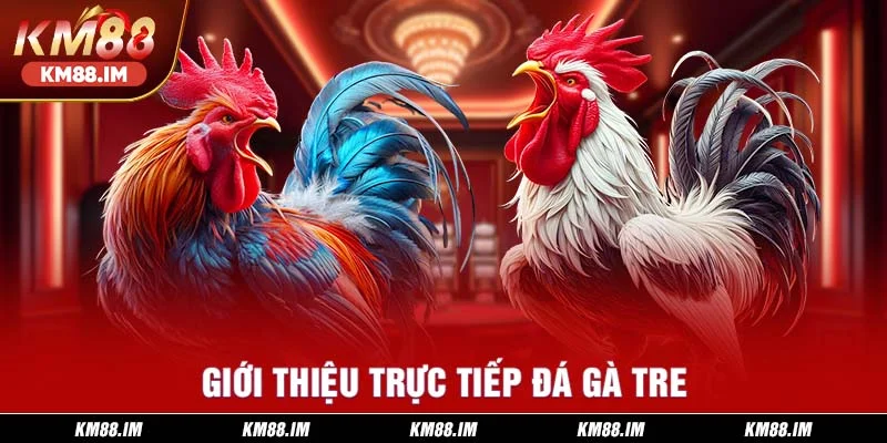 Trực tiếp đá gà tre